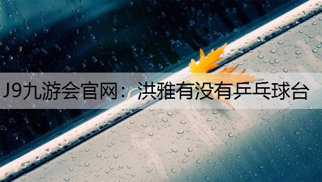 J9九游会官网：洪雅有没有乒乓球台