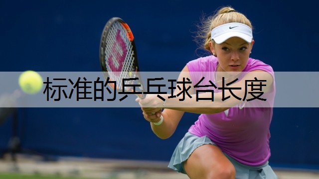 标准的乒乓球台长度
