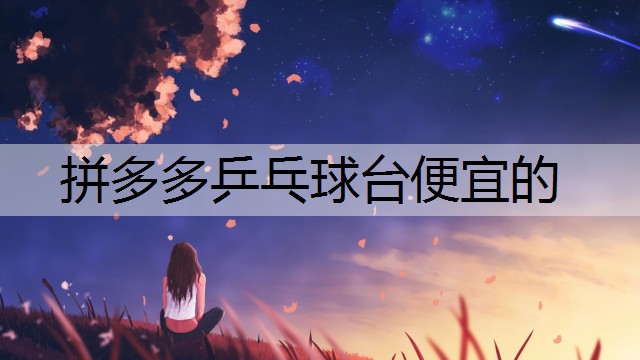 拼多多乒乓球台便宜的