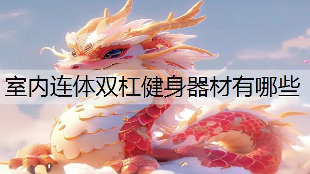 室内连体双杠健身器材有哪些