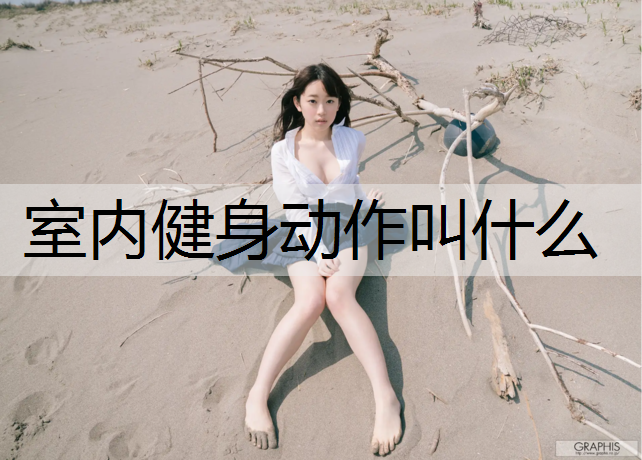 室内健身动作叫什么