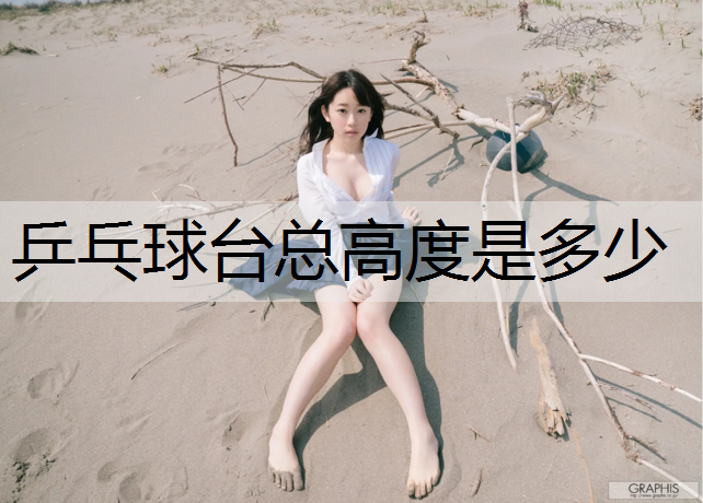 乒乓球台总高度是多少