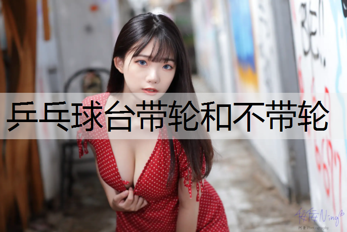 乒乓球台带轮和不带轮