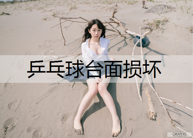 乒乓球台面损坏