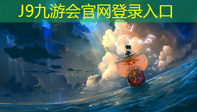 J9九游会真人游戏第一品牌：体操墙宝宝爬行垫