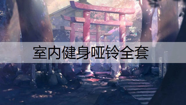 室内健身哑铃全套