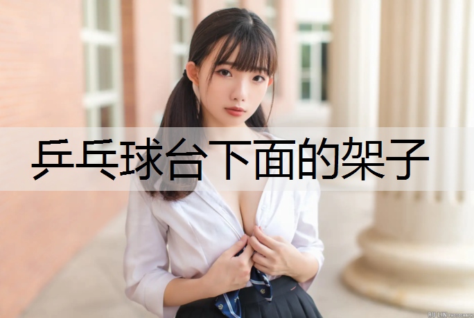 乒乓球台下面的架子