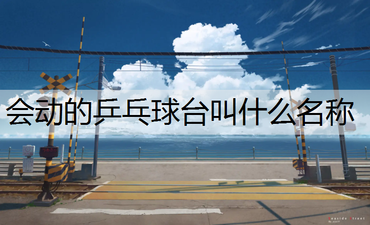 会动的乒乓球台叫什么名称