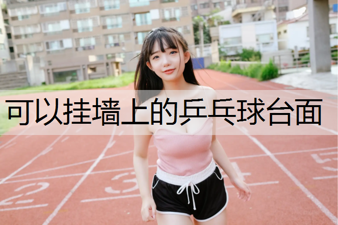 可以挂墙上的乒乓球台面