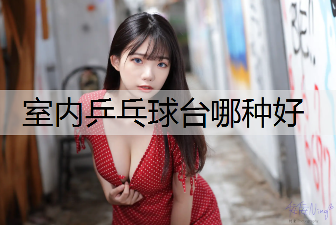 室内乒乓球台哪种好