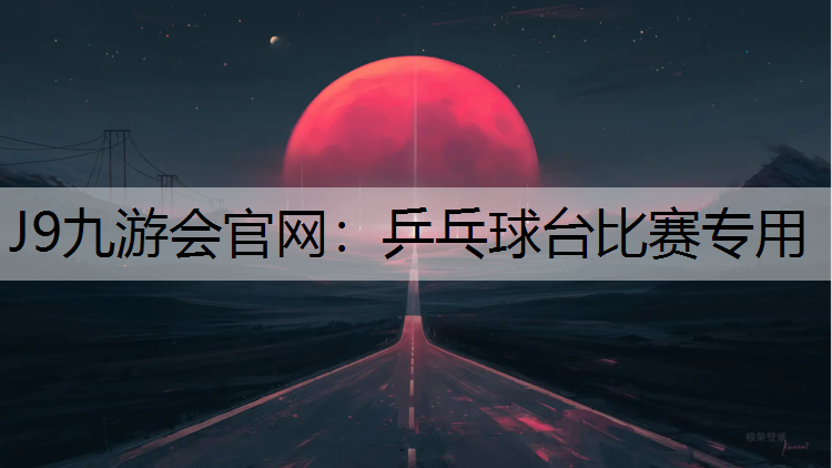 乒乓球台比赛专用
